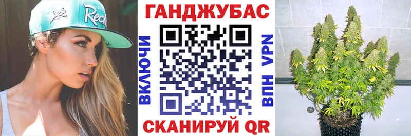 Каннабис гибрид  Сосенский 